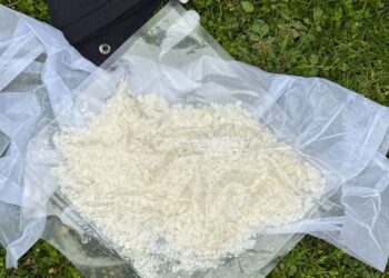 Percheziții și rețineri într-o rețea de trafic de droguri în Bihor: patru inculpați, arestați preventiv