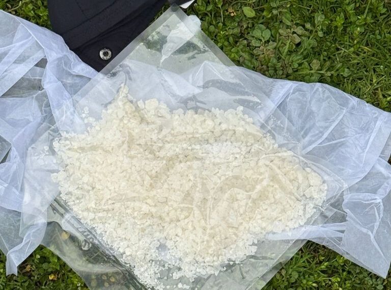 Percheziții și rețineri într-o rețea de trafic de droguri în Bihor: patru inculpați, arestați preventiv