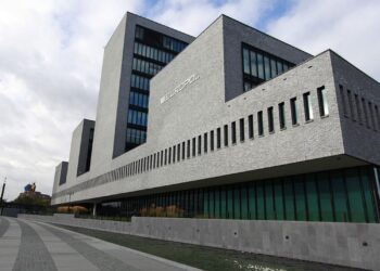 România, alături de 34 de țări, distruge rețeaua globală de pedofilie Kidflix: operațiunea Stream, cea mai mare acțiune împotriva exploatării sexuale a copiilor