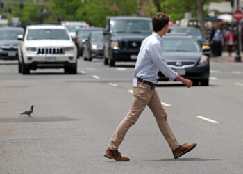 Peste 200 de pietoni amendați în Bihor pentru traversare neregulamentară