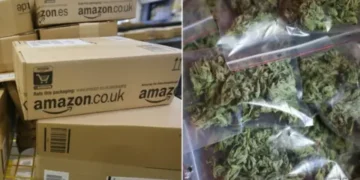 Droguri prin curier: Tânăr din Oradea, condamnat pentru trafic internațional de droguri