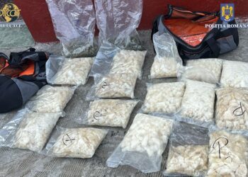 Lovitură puternică pentru traficanții de droguri din Oradea: peste 56 de kilograme de substanțe interzise confiscate și 7 inculpați reținuți