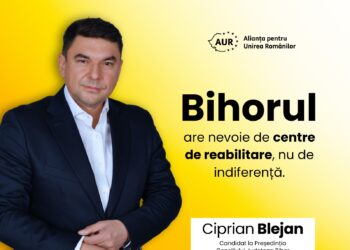 Ciprian Blejan: Bihorul are nevoie de centre de reabilitare, nu de indiferență