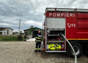 Flăcările au cuprins Nojoridul: gospodărie la un pas de dezastru