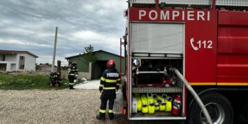 Flăcările au cuprins Nojoridul: gospodărie la un pas de dezastru