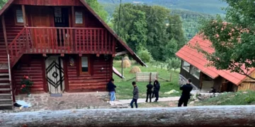 Șoc la Curtea de Apel Oradea: Dosarul traficului internațional de droguri, trimis spre rejudecare la Tribunalul Bihor