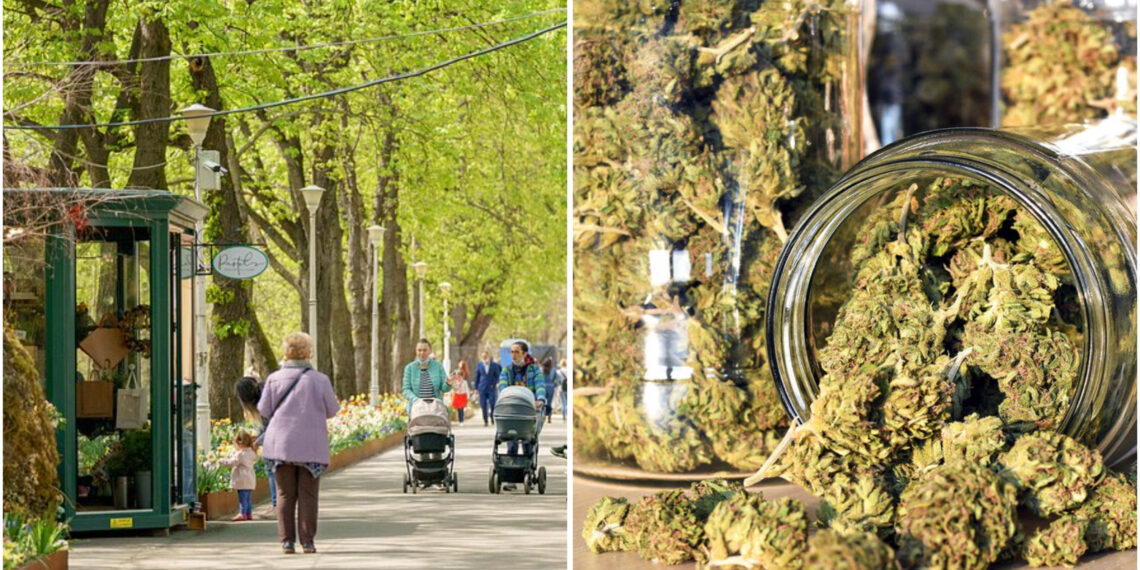 Scandal în Parcul Libertății: Doi frați și un minor au bătut și împins victimele în Criș pentru droguri