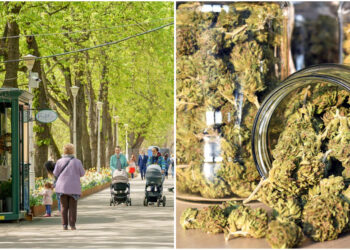 Scandal în Parcul Libertății: Doi frați și un minor au bătut și împins victimele în Criș pentru droguri