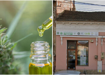 Ceai, ulei sau drog? Produse „naturale” comercializate într-un magazin din Oradea conțineau prea mult THC