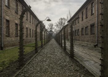 Codul Penal adaptat la realitățile urii digitale: pedepse cu închisoarea pentru propagandă fascistă, glorificarea legionarismului și negarea Holocaustului