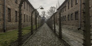 Codul Penal adaptat la realitățile urii digitale: pedepse cu închisoarea pentru propagandă fascistă, glorificarea legionarismului și negarea Holocaustului