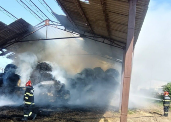 Incendii în serie în Bihor: Pompierii au stins 28 de focare în trei zile