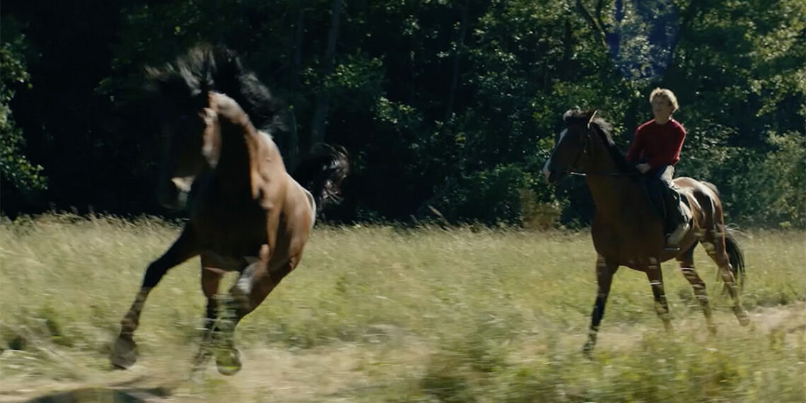 Cu iapa la deal… și sentința în spinare: Bărbat condamnat pentru furt calificat de animale