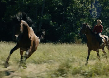 Cu iapa la deal… și sentința în spinare: Bărbat condamnat pentru furt calificat de animale