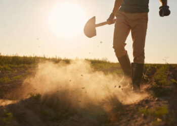 Femeie de 62 de ani bătută cu lopata de un adolescent: Justiția intervine prea târziu