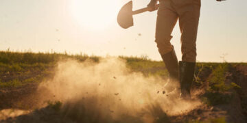 Femeie de 62 de ani bătută cu lopata de un adolescent: Justiția intervine prea târziu