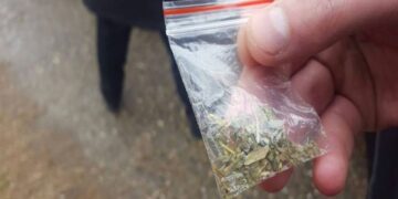Să fii dealer e la modă! Tribunalul Bihor condamnă aspru vânzarea de „iarbă”