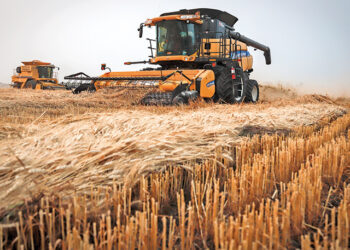 Contract de vânzare-cumpărare cereale: acţiune în răspundere contractuală privind beneficiul nerealizat