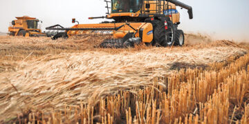 Contract de vânzare-cumpărare cereale: acţiune în răspundere contractuală privind beneficiul nerealizat