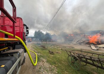 Panică în Șinteu: Hală cu material lemnos, cuprinsă de flăcări uriașe