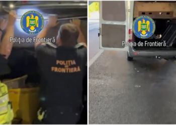 Țigări de contrabandă de peste 260.000 lei, depistate în două autoutilitare în Borș