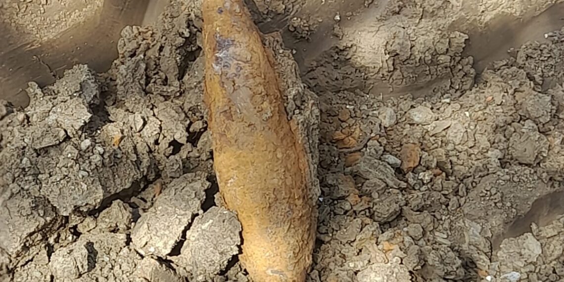 Sursa foto : ISU Bihor