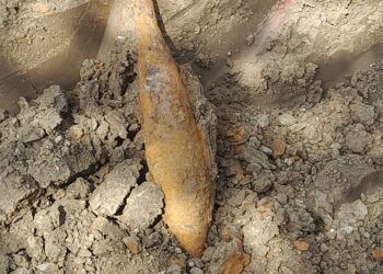 Sursa foto : ISU Bihor