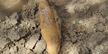 Sursa foto : ISU Bihor