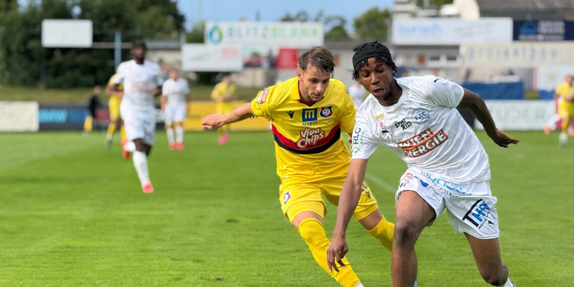 Băieții lui Erik Lincar au făcut spectacol la Viena!