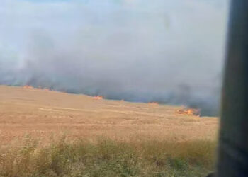 Pericol pe DN1: Incendiu de vegetație între Oșorhei și Aleșd