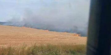 Pericol pe DN1: Incendiu de vegetație între Oșorhei și Aleșd