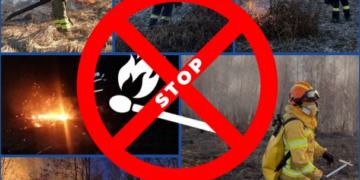 Sursa foto ISU Bihor