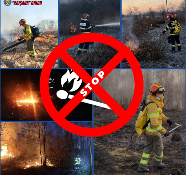 Sursa foto ISU Bihor