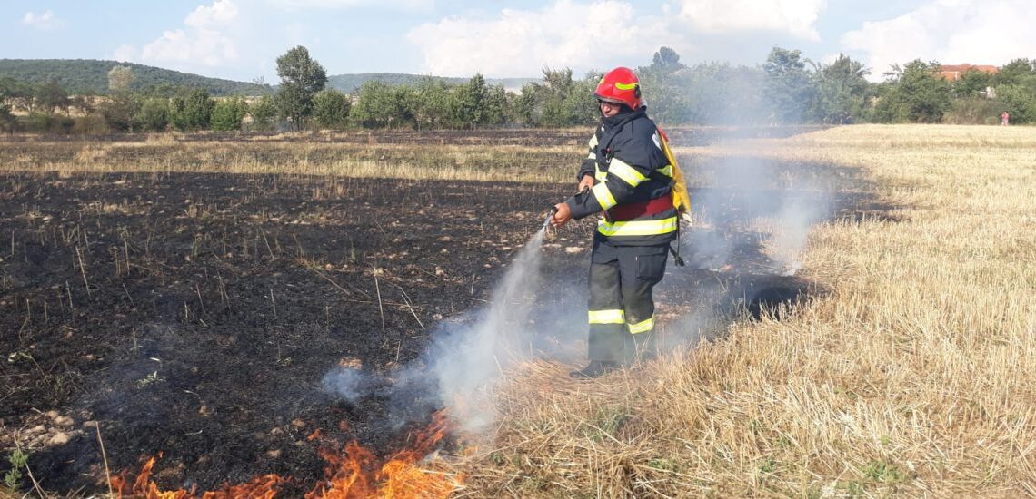 Sursa foto ISU Bihor
