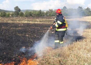 Sursa foto ISU Bihor