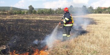 Sursa foto ISU Bihor
