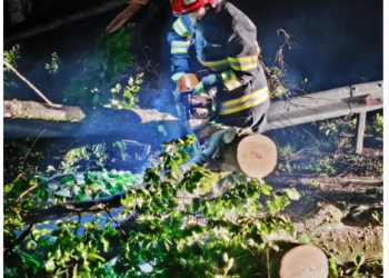 Sursa foto ISU Bihor