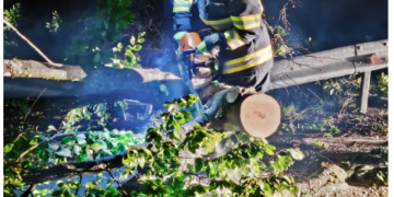 Sursa foto ISU Bihor