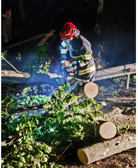 Sursa foto ISU Bihor