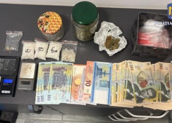 Flagrant la Oradea: 2.000 de lei pentru canabis și doi suspecți reținuți