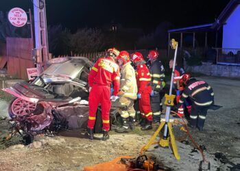 Sursa foto ISU Bihor