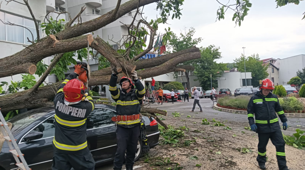 Vijeliile au doborât copaci și în Băile Felix. Autovehicule avariate lângă Hotel Internațional