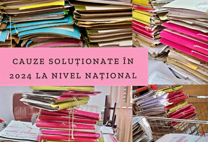 Sursa foto pagina Facebook a CSM