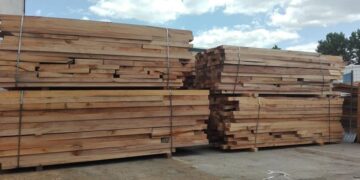 O firmă din Bihor a vândut lemne „la negru”. Cum a ajuns administratorul să fie scutit de pedeapsă?