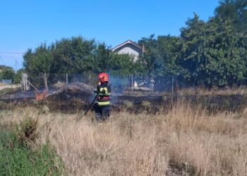 Sursă foto : ISU Bihor