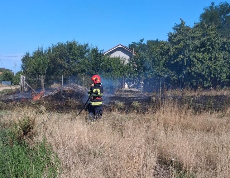 Sursă foto : ISU Bihor