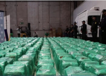 Două tone de substanțe interzise și sute de  rețineri: bilanț al luptei antidrog în primele șapte luni ale anului 2025