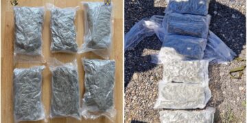 Tânăr de 20 de ani, reținut la Salonta pentru trafic internațional de droguri