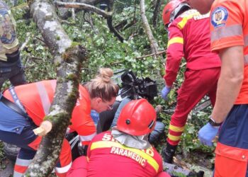 Sursa foto : ISU Bihor