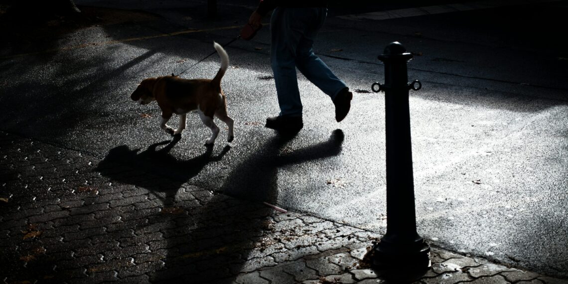 Bărbat căzut victimă unui atac absurd: s-a aplecat să strângă după câine și a fost snopit în bătaie